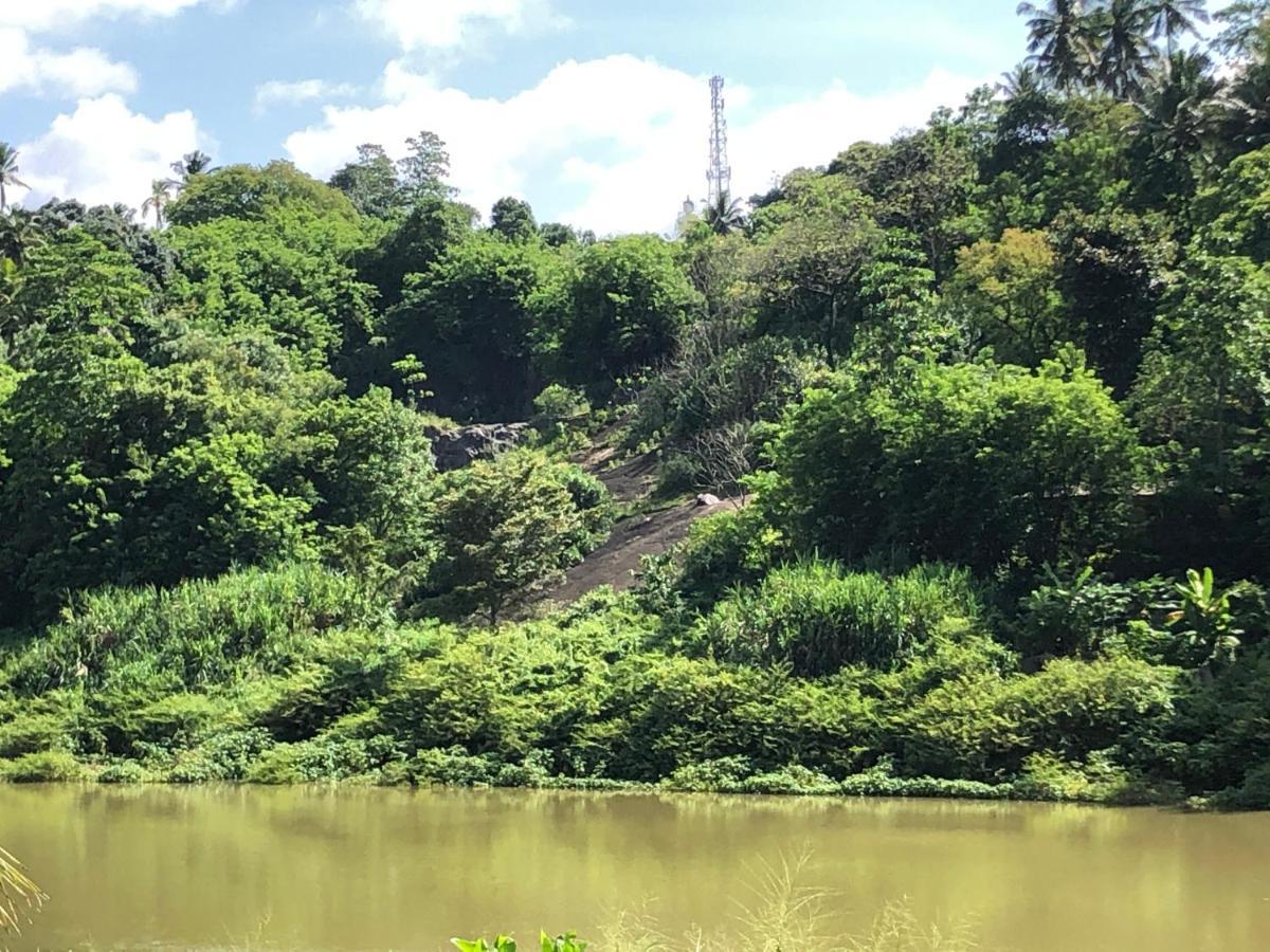 Kandy Rivers Edge Nature Resort エクステリア 写真