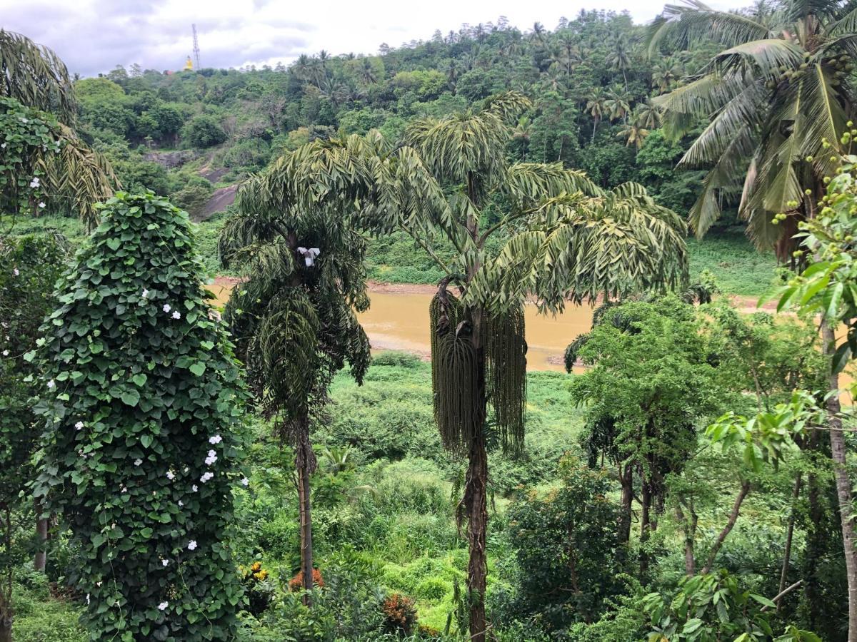 Kandy Rivers Edge Nature Resort エクステリア 写真
