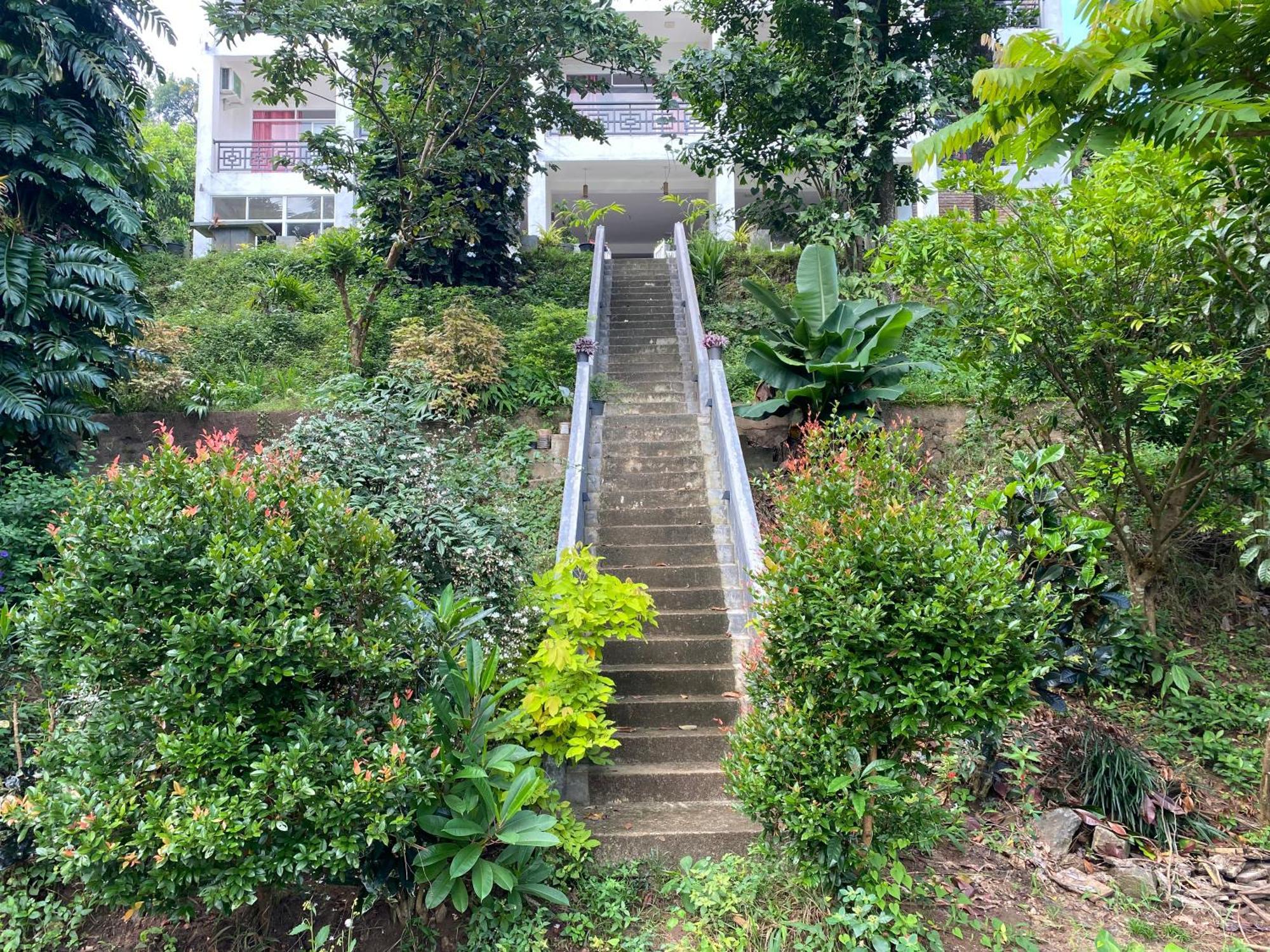 Kandy Rivers Edge Nature Resort エクステリア 写真