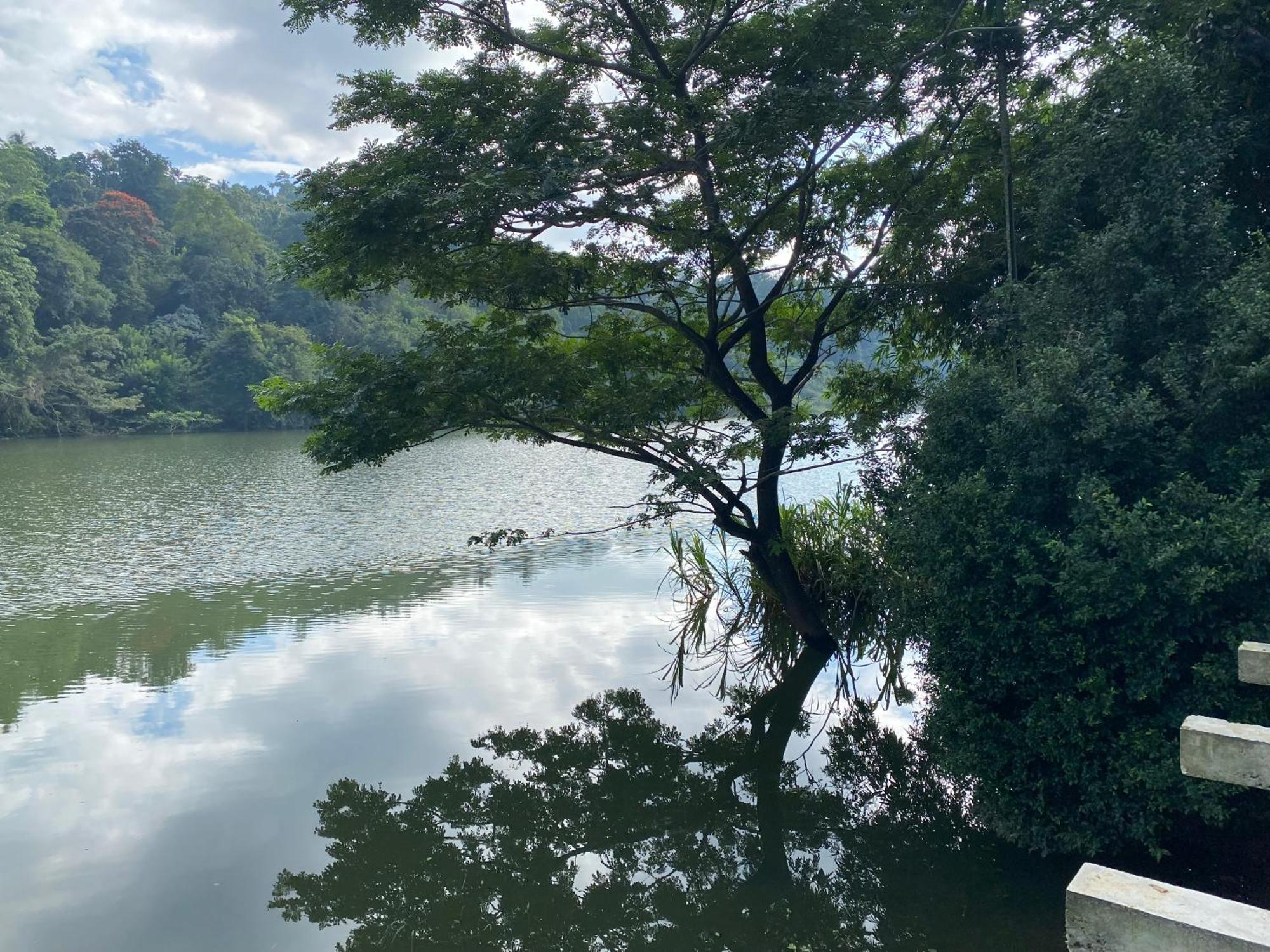 Kandy Rivers Edge Nature Resort エクステリア 写真