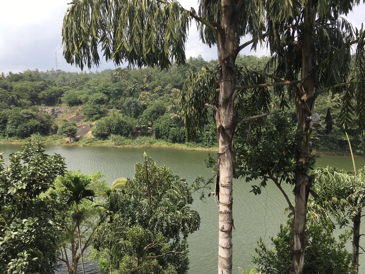 Kandy Rivers Edge Nature Resort エクステリア 写真