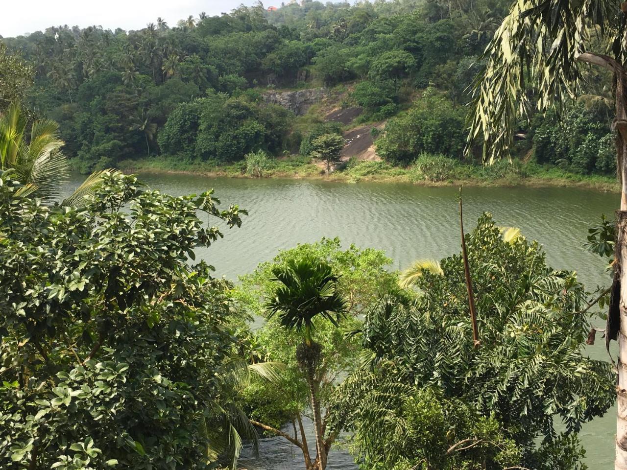 Kandy Rivers Edge Nature Resort エクステリア 写真